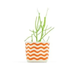 Wavy Line Orange 4 Inch Canvas Planter By GRAY GREEN GOODS