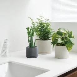 KINTO PLANT POT Model 191 - 5 Inch -Garden Warehousing s753278155256112669 p732 i4 w900