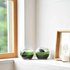 Water Garden - Tiny Plant Aquarium By NOTED -Garden Warehousing s753278155256112669 p753 i5 w900