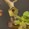 Tiny Birdhouse By BOTANOPIA