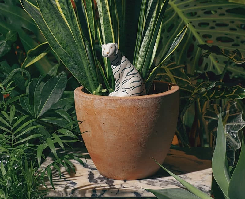 DOIY Design Jangal Tiger Self-Watering System 6 DOIY Design Jangal Tiger Self-Watering System - Image 4