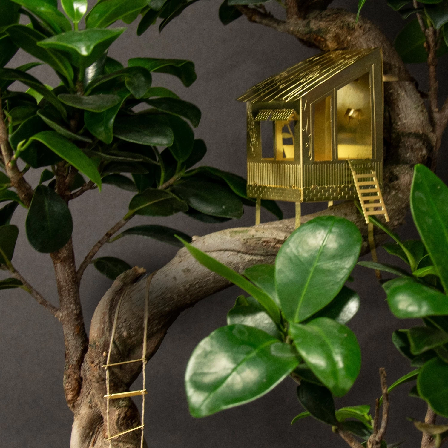 Tiny Treehouse By BOTANOPIA 4 Tiny Treehouse By BOTANOPIA - Image 2