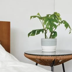 KINTO PLANT POT Model 193 -Garden Warehousing s753278155256112669 p867 i2 w900