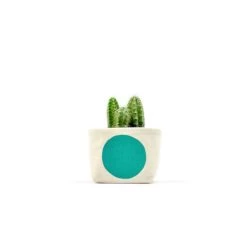 Turquoise Dot 3 Inch Canvas Planter By GRAY GREEN GOODS