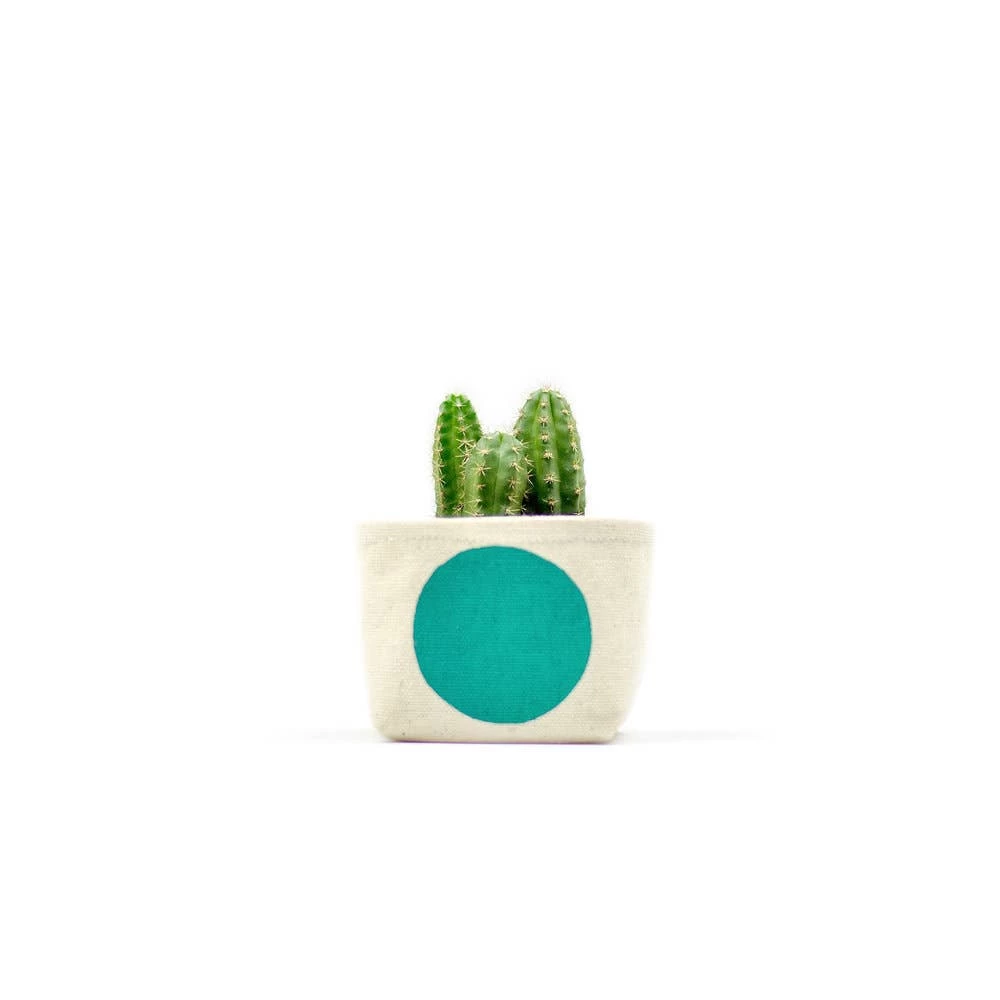 Turquoise Dot 3 Inch Canvas Planter By GRAY GREEN GOODS 3 Turquoise Dot 3 Inch Canvas Planter By GRAY GREEN GOODS