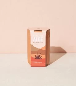 Healing Aloe Terracotta Grow Kit By Modern Sprout -Garden Warehousing s753278155256112669 p954 i12 w1244