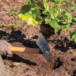 Hoedag Original Planter Mattock With 54" Handle -Garden Warehousing tn54 live2