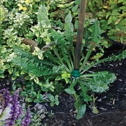 Weed Wand Magic Applicator 9 Weed Wand Magic Applicator -Garden Warehousing wwa 2